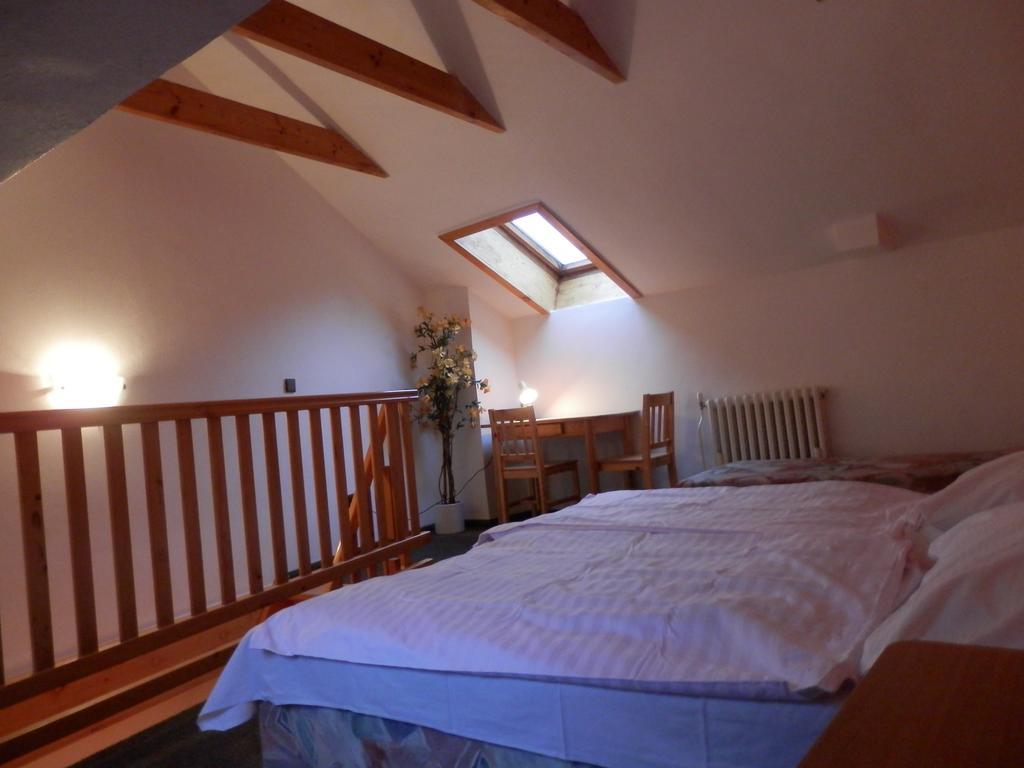 Pension Mona Harrachov Rom bilde