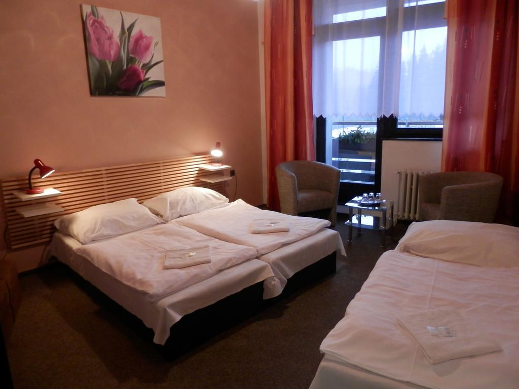 Pension Mona Harrachov Rom bilde